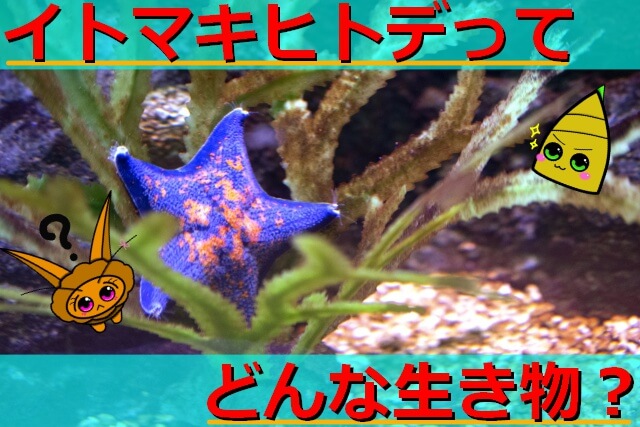 Thumbnail of post image 151